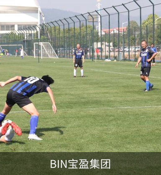 走进BIN宝盈集团